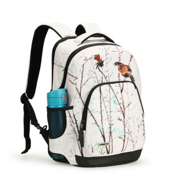 Spring view the classic backpack style